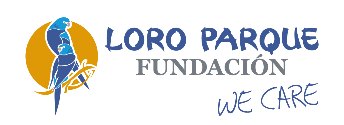 LPF